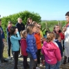 Paasuitstap kinderboerderij, Stene, za 05/04/2014